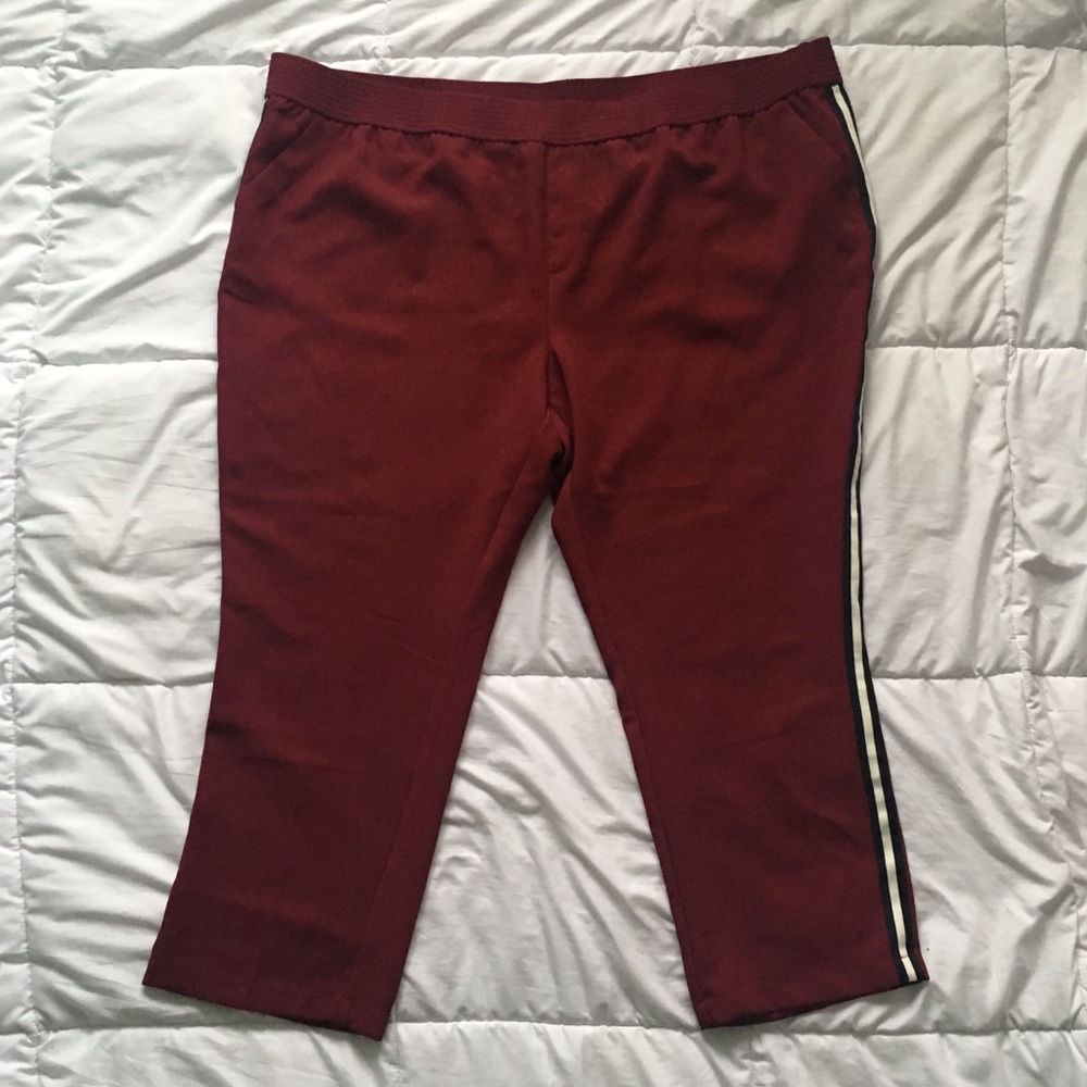 Burgundy Side Stripe A New Day Pants Size 3X